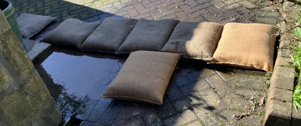 BlastSax used to coral water.jpg